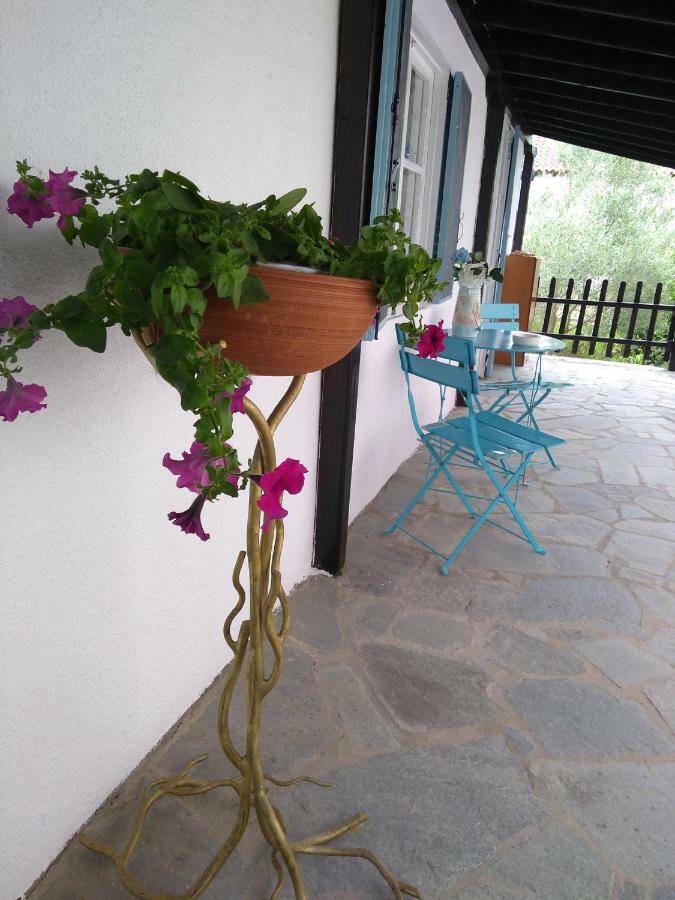 Sea & Sun House Vila Nea Kallikrateia Exterior foto